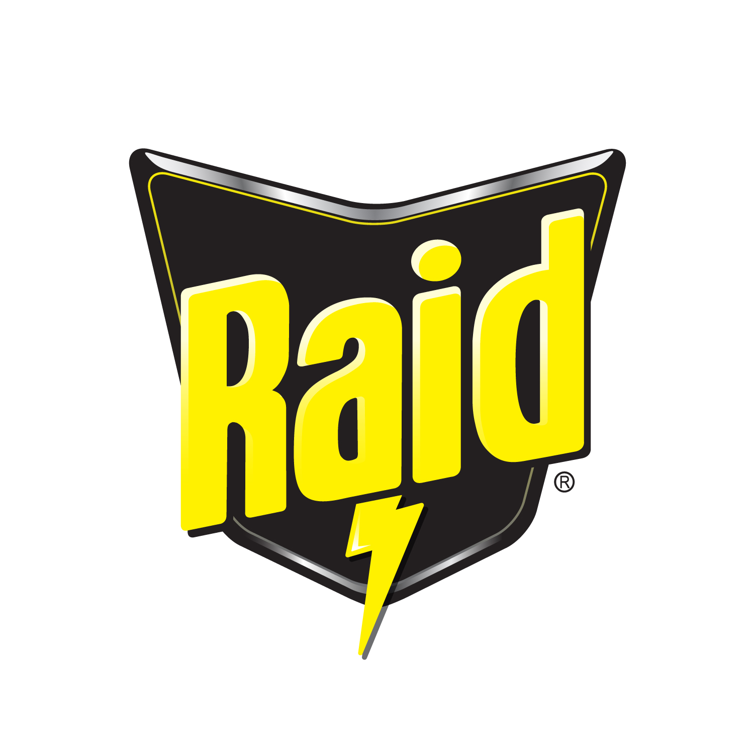 Raid